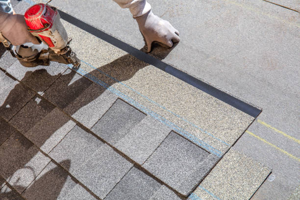 Professional Roofing Contractor in Minnetrista, MN